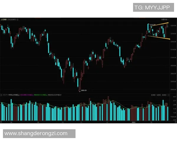 深圳篮球队与北京篮球队赛后状态分析与复盘总结