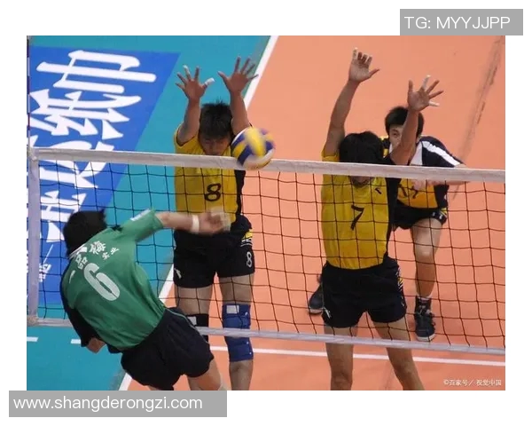 赛后分析：成都排球队与深圳排球队的团队协作表现及启示