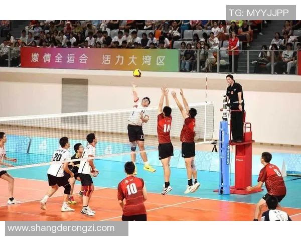 北京排球队的默契配合与战术分析探讨排球运动的魅力与团队精神