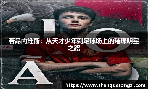 星空体育网站入口