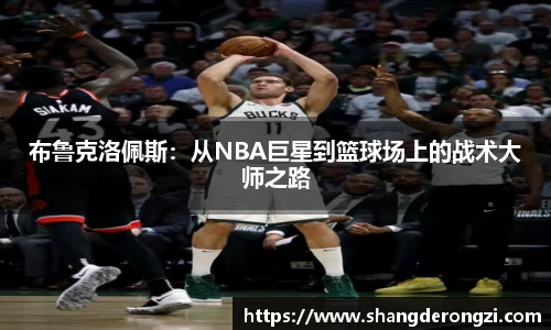 星空官网