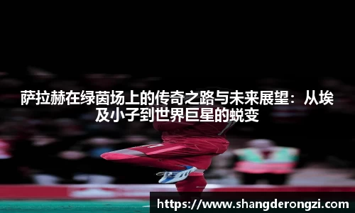 星空体育